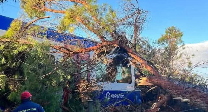 Πύργος: Δέντρο έπεσε σε τρένο, τραυματίστηκε ο μηχανοδηγός