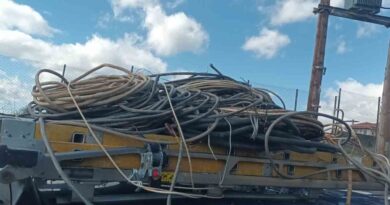 Συνελήφθησαν 33 άτομα σε αστυνομική επιχείρηση στην Περιφέρεια Πελοποννήσου