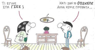 Τι έγινε στη ΓΣΕΕ ;