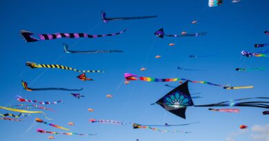 Οι “Χαρταετοί” του Μίκη -VIDEO