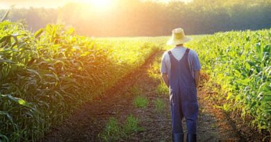 Νέες ευνοϊκές ρυθμίσεις για τον πρωτογενή τομέα – Παράταση έως 31 Δεκεμβρίου 2026 για χρηματοδότηση και αγροτικά ακίνητα