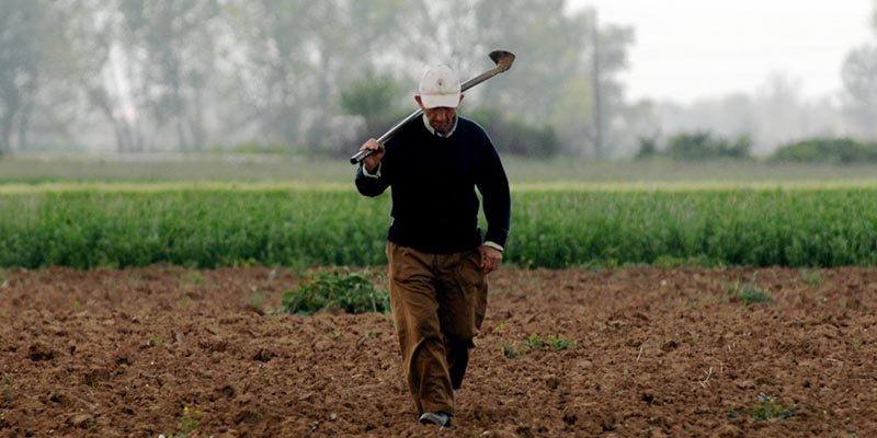 Διευκρίνιση για την υποβολή υπεύθυνων δηλώσεων για κυριότητα αγροτεμαχίων μέσω ΚΑΕΚ