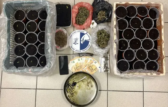 Μεσσηνία: Συνελήφθη 64χρονος για ναρκωτικά, για λαθραίο καπνό και για τα όπλα 