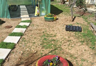 ΕΠΑΛ Νεμέας: Ένας νέος σχολικός λαχανόκηπος δημιουργήθηκε