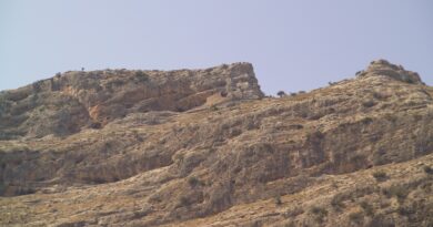 Η Νεμέα από την τουρκοκρατία μέχρι την έναρξη του Αγώνα (1821)