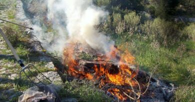 Όσα πρέπει να γνωρίζετε για τις καύσεις υπολειμμάτων καλλιεργειών και κλαδεμάτων