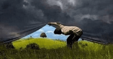 Δικαίωμα στη ζωή