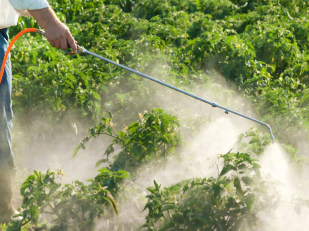 Μέτρα και υποχρεώσεις για τη χρήση ζιζανιοκτόνων σε καλλιέργειες και αγροτικές εκτάσεις