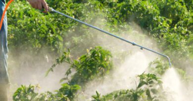Μέτρα και υποχρεώσεις για τη χρήση ζιζανιοκτόνων σε καλλιέργειες και αγροτικές εκτάσεις