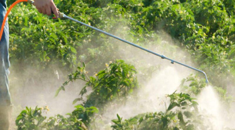 Μέτρα και υποχρεώσεις για τη χρήση ζιζανιοκτόνων σε καλλιέργειες και αγροτικές εκτάσεις