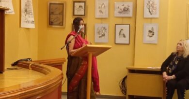 Sumi-e: Όταν το μαύρο μελάνι δημιουργεί έργα τέχνης