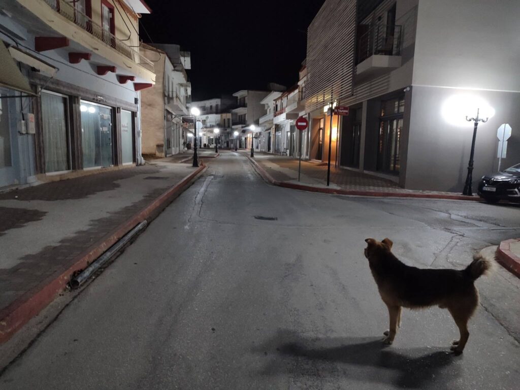 Α.Γ Καλλής: Αδέσποτες σκιές