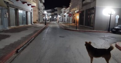 Α.Γ Καλλής: Αδέσποτες σκιές