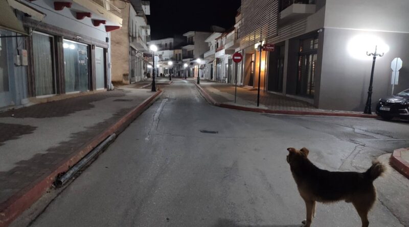 Α.Γ Καλλής: Αδέσποτες σκιές