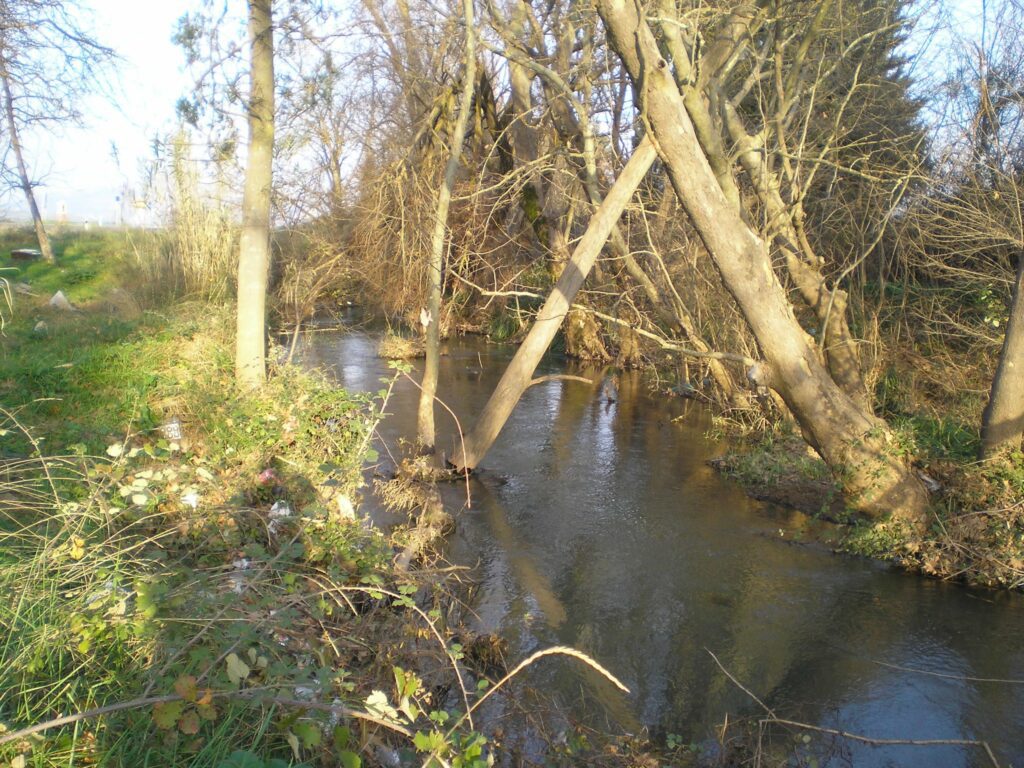 Ιστορικά στοιχεία για τον Ασωπό ποταμό