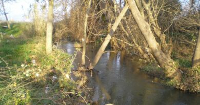 Ιστορικά στοιχεία για τον Ασωπό ποταμό