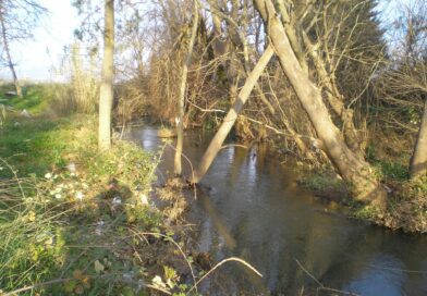 Ιστορικά στοιχεία για τον Ασωπό ποταμό