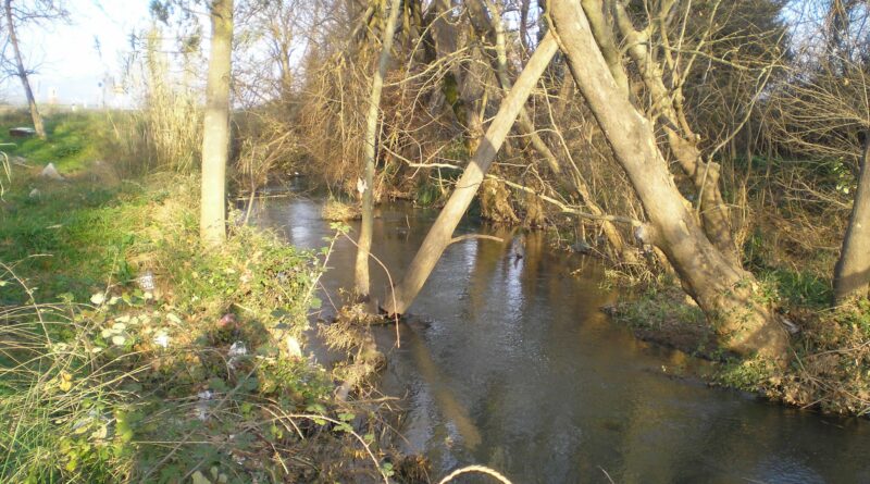 Ιστορικά στοιχεία για τον Ασωπό ποταμό