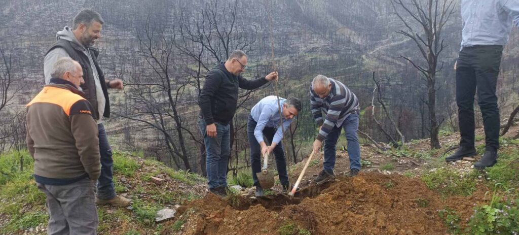 Χρίστος Δήμας: «Φύτεψε μια καστανιά, για την Καστανιά!» – Δράση αναδάσωσης