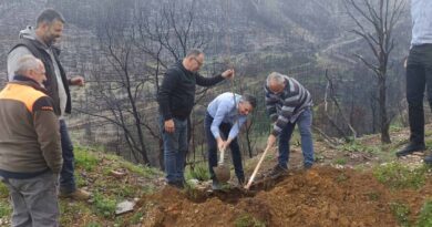 Χρίστος Δήμας: «Φύτεψε μια καστανιά, για την Καστανιά!» – Δράση αναδάσωσης