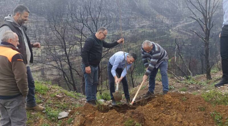 Χρίστος Δήμας: «Φύτεψε μια καστανιά, για την Καστανιά!» – Δράση αναδάσωσης
