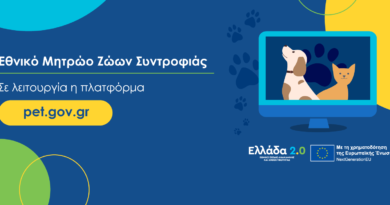 Νέες υπηρεσίες για τους πολίτες και τους Δήμους στο Εθνικό Μητρώο Ζώων Συντροφιάς