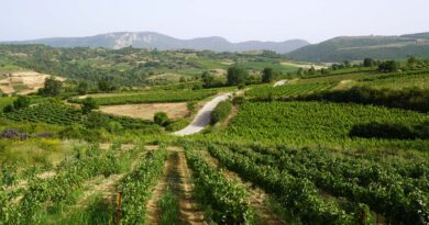 Νεμέα: Ενημερωτική ημερίδα με θέμα τις αγροτικές επιχειρήσεις και τις εξελίξεις στον πρωτογενή τομέα