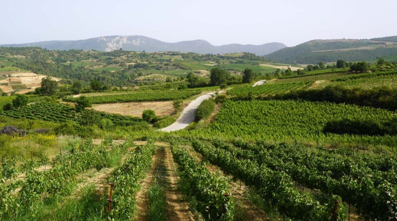 Νεμέα: Ενημερωτική ημερίδα με θέμα τις αγροτικές επιχειρήσεις και τις εξελίξεις στον πρωτογενή τομέα