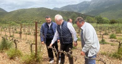 Αυτοψία Γιάννη Ανδριανού σε πληγείσες περιοχές σε Κορινθία, Αργολίδα, Αρκαδία, από τον πρόσφατο παγετό