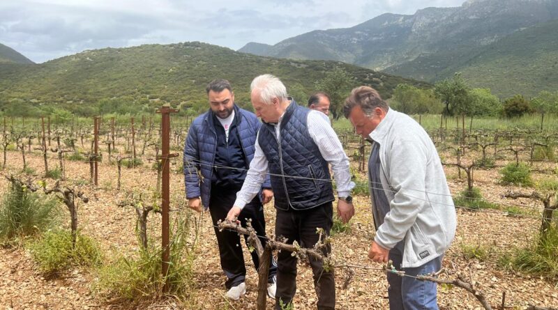 Αυτοψία Γιάννη Ανδριανού σε πληγείσες περιοχές σε Κορινθία, Αργολίδα, Αρκαδία, από τον πρόσφατο παγετό