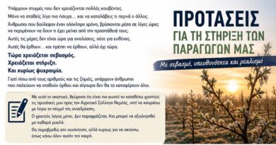 Φραγκίσκος Παπαγεωργίου: Προτάσεις για την Στήριξη των Παραγωγών μας