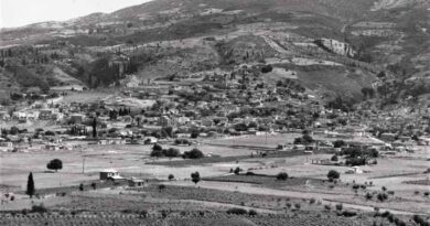 Α.Γ Καλλής: Νεμέα.. Η κοιλάδα του θρήνου και της απόγνωσης (ή Οταν τα αυτονόητα γίνονται ζητούμενα )