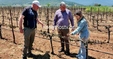 Μεγάλες καταστροφές από τον πάγο στην Νεμέα – Σε απόγνωση οι αγρότες -VIDEO