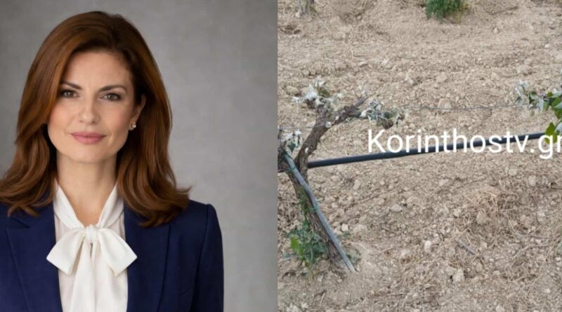 Κατερίνα Ταγαρά: Σε αναβρασμό η Νεμέα
