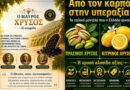 Η Μαυρομάτα -Το Φιστίκι -Το Λεμόνι / Μικρές Βιωματικές Ιστορίες