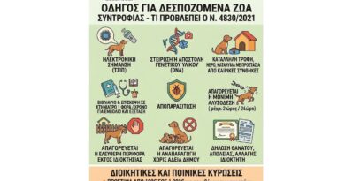Δήμος Νεμέας: Οδηγός για δεσποζόμενα ζώα συντροφιάς