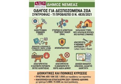 Δήμος Νεμέας: Οδηγός για δεσποζόμενα ζώα συντροφιάς