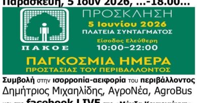 Παγκόσμια Ημέρα Περιβάλλοντος, ΠΑΚΟΕ, Σύνταγμα