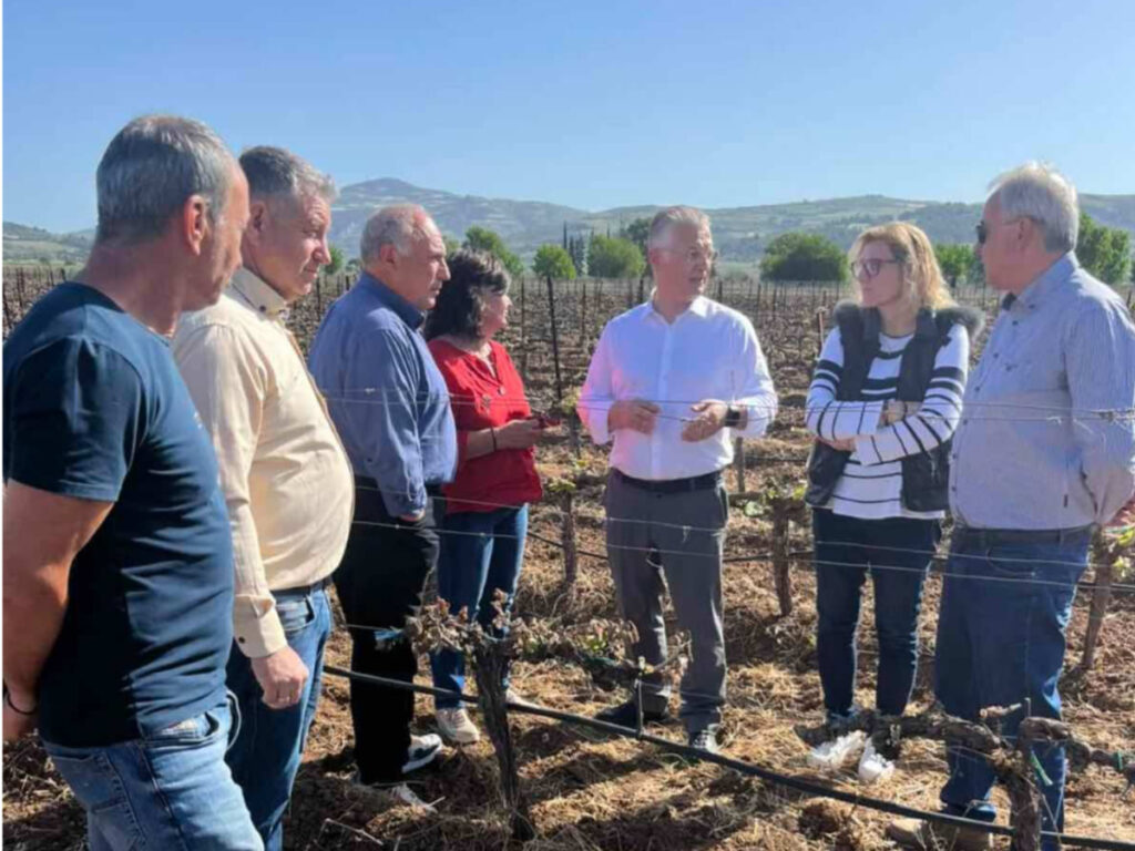 Στις πληγείσες από τον παγετό καλλιέργειες του Δήμου Νεμέας ο Περιφερειάρχης Πελοποννήσου Δημήτρης Πτωχός