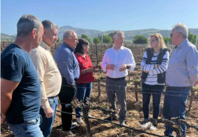 Στις πληγείσες από τον παγετό καλλιέργειες του Δήμου Νεμέας ο Περιφερειάρχης Πελοποννήσου Δημήτρης Πτωχός