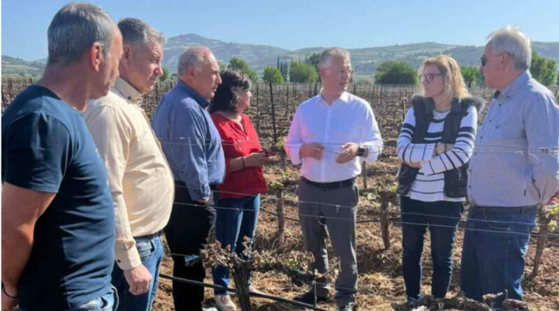 Στις πληγείσες από τον παγετό καλλιέργειες του Δήμου Νεμέας ο Περιφερειάρχης Πελοποννήσου Δημήτρης Πτωχός
