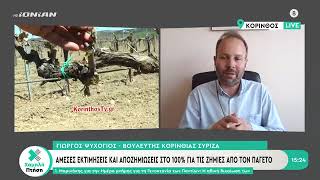Γ. Ψυχογιός: Άμεση στήριξη και αποζημιώσεις στο 100% για τους αγρότες της Κορινθίας -VIDEO