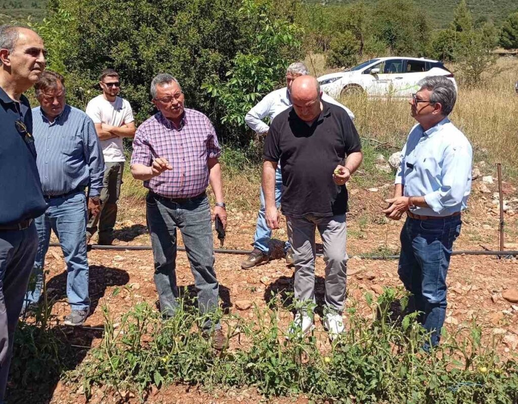 Αυτοψία στη Σκοτεινή Αργολίδας σε καλλιέργειες που επλήγησαν από το χαλάζι