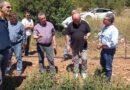 Αυτοψία στη Σκοτεινή Αργολίδας σε καλλιέργειες που επλήγησαν από το χαλάζι