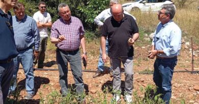 Αυτοψία στη Σκοτεινή Αργολίδας σε καλλιέργειες που επλήγησαν από το χαλάζι