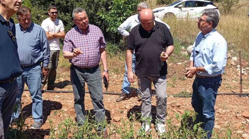 Αυτοψία στη Σκοτεινή Αργολίδας σε καλλιέργειες που επλήγησαν από το χαλάζι
