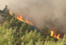 Πάνω από 67 εκατ. ευρώ για την αποκατάσταση πληγεισών αγροτικών εκμεταλλεύσεων από πυρκαγιές και πλημμύρες