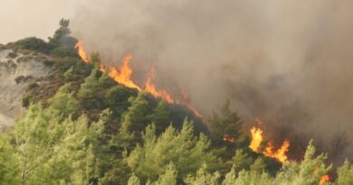 Πάνω από 67 εκατ. ευρώ για την αποκατάσταση πληγεισών αγροτικών εκμεταλλεύσεων από πυρκαγιές και πλημμύρες