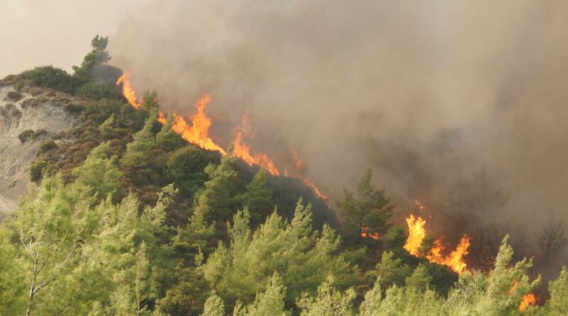 Πάνω από 67 εκατ. ευρώ για την αποκατάσταση πληγεισών αγροτικών εκμεταλλεύσεων από πυρκαγιές και πλημμύρες