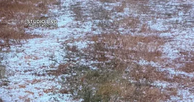 Σφοδρή χαλαζόπτωση στη Σκοτεινή Αργολίδας - Μεγάλες ζημιές στις καλλιέργειες